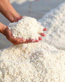 Ternyata Benar! Taburan Garam Bikin Semangka dan Kopi Lebih Enak!