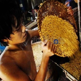 Mentan Suswono: Harga Kedelai Rp 4.500/Kg Petani Tak Mau Tanam