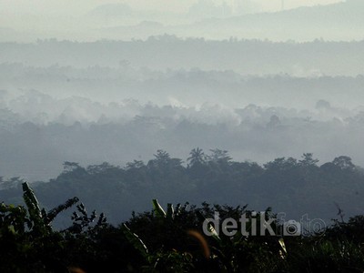 Sentul Berkabut di Pagi Hari