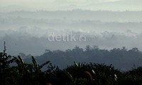 Pemandangan gunung yang diselimuti oleh kabut, membuat kawasan mempesona.