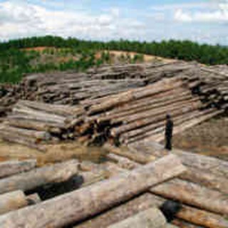 Pemerintah Suntik Rp 2,7 Miliar untuk 100 UKM Industri Kayu