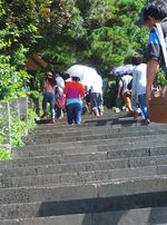 Cantiknya Pulau Jeju dari Bukit Seongsan