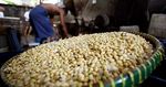 Gakoptindo Dapat Jatah Impor Kedelai 125.000 Ton