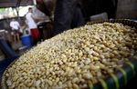 Gakoptindo Dapat Jatah Impor Kedelai 125.000 Ton