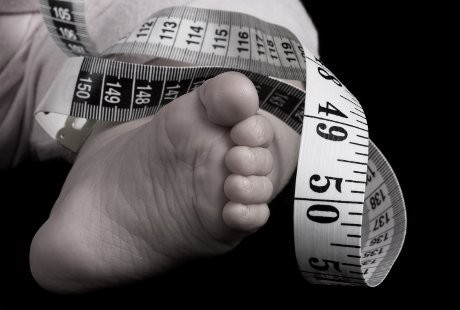 Bayi-bayi Terbesar dari Penjuru Dunia, Asal Indonesia hingga Jerman