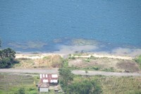 Air permukaan danau membentuk pola-pola ditiup angin. Beberapa bagian Danau Toba memang memiliki semacam pantai berpasir putih (Fitraya/detikTravel)