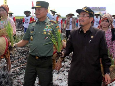 Mentan Tanam Padi