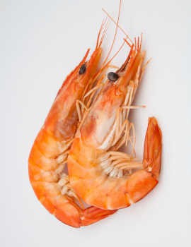Udang Rebus Mudah Dikupas Dengan Trik Sederhana Ini