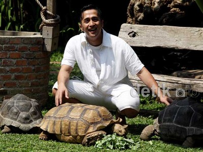 Serunya Irfan Hakim Bermain dengan Kura-kura