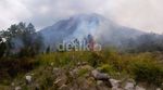 Hutan di Lereng Gunung Sinabung Dibakar