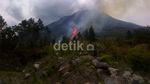 Hutan di Lereng Gunung Sinabung Dibakar