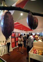 Pameran Kakao Indonesia