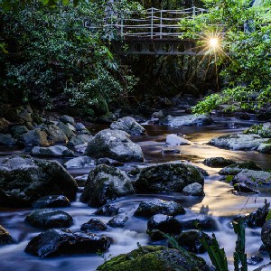 Menghasilkan Foto Tajam & Jernih di Kondisi Low Light