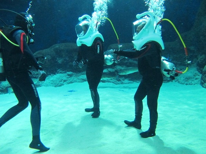 Sea Trek Adventure, Berjalan di Bawah Laut Singapura