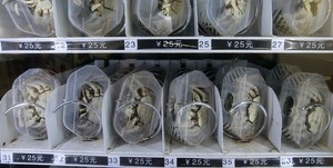 Kepiting Hidup Juga Bisa Dibeli di Vending Machine Ini