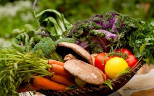 Tiap Tahun Rumah Tangga di Inggris Buang 7,5 Juta Ton Makanan