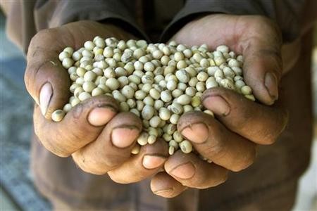 Kenapa Indonesia Ketergantungan Impor Kedelai? Ini Sebabnya