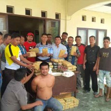 Dar Der Dor Warnai Gerebekan Bandar Pemilik 41 Kg Ganja
