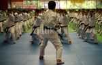 Shotokan Coaching Clinic 2013