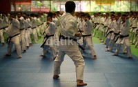 Acara ini diikuti 200 karateka Indonesia dari kalangan TNI AD, TNI AL, TNI AU serta masyarakat umum.