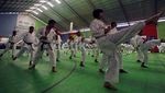 Shotokan Coaching Clinic 2013