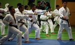 Shotokan Coaching Clinic 2013