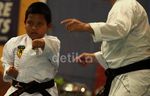 Shotokan Coaching Clinic 2013
