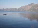 Pagi yang Menenteramkan Jiwa di Danau Batur