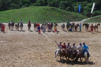 Boleh jadi The Ma Park adalah salah satu pertunjukkan yang wajib ditonton saat Anda berkunjung ke Pulau Jeju. Dalam bahasa Korea, Ma berarti kuda. Ya, ini memang pertujukan akrobat dan atraksi dengan kuda (Ken Yunita/detikTravel)