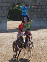 Akrobat Kuda dari Pulau Jeju, Seru!