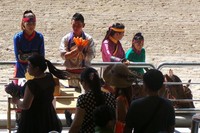 Usai pertunjukan, turis bisa memberi makan kuda dengan wortel. Atraksi kuda The Ma Park sehari berlangsung tiga kali dengan tiket 15.000 Won atau sekitar Rp (Ken Yunita/detikTravel)