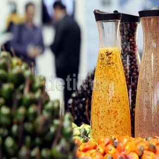 Hanya 19 Perusahaan yang Kantongi Sertifikat Sawit Lestari Ala Indonesia