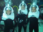 Sea Trek, Jalan-jalan di Bawah Laut Singapura