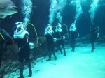Sea Trek, Jalan-jalan di Bawah Laut Singapura