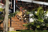 Pasukan Pertahanan Kenya juga menerjunkan anjing pelacak. Reuters/Goran Tomasevic.