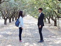 Tak nampak kemewahan kota di negara bagian California tersebut dalam gambar, melainkan suasana teduh dan romantis di perkebunan almond. (Hwa and Dam Pictures)