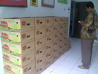 Kualitas Pisang Sudah Diakui Internasional