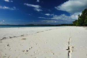7 Tips Penting Sebelum Liburan ke Maluku