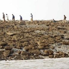 Ini Penyebab Munculnya Pulau Baru Usai Gempa Pakistan