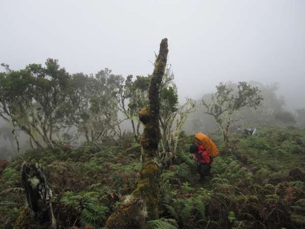 Tantang Adrenalin di Gunung Tertinggi di Maluku