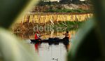Waduk Ria Rio Terus Dibersihkan