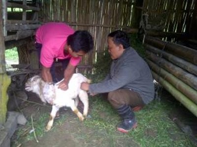 Perbakin Bantu Polisi Buru Anjing Liar Pemangsa Kambing Warga
