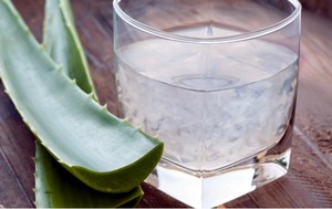 Lidah Buaya, Minuman Segar Kaya Nutrisi dan Khasiat