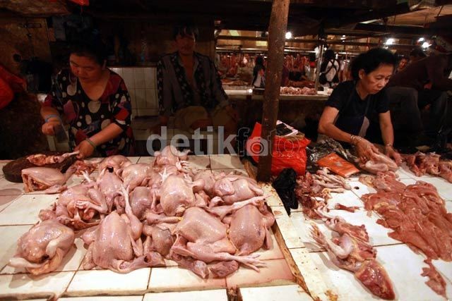 Dalam 2 Minggu, Harga Ayam Potong Lompat Hampir 30%