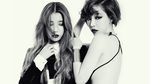 Sexy in Black and White, IU & Ga In BEG