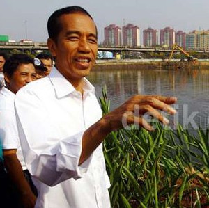 Hijaukan Jaktim dan Jakut, Jokowi Tanam Pohon Mangga di Trotoar
