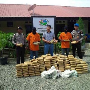3,4 Kuintal Ganja Diamankan di Pidie, akan Dikirim ke Jakarta