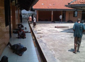 Gaya Ceplas-ceplos Fatma, Penghuni yang Berasal dari Bawah Pohon