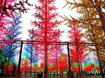 Unik, Hutan Lampu di Light Forest i-City Malaysia