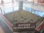 Penyu-penyu Gili Trawangan yang Menggemaskan